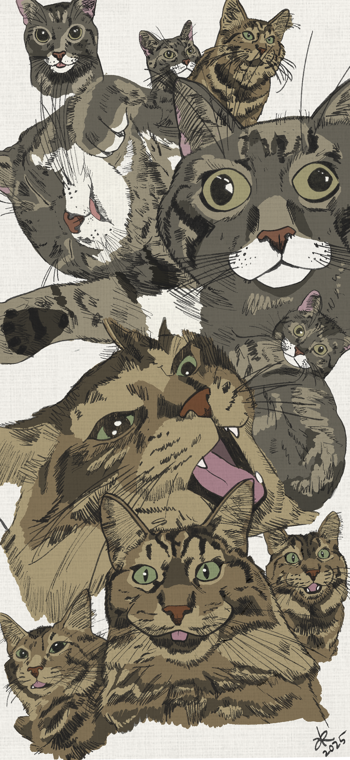 Assorted sketches of my cats